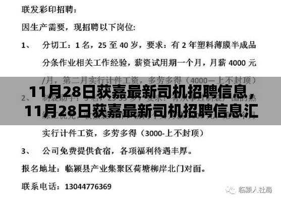 11月28日獲嘉司機(jī)招聘信息大全，掌握未來職業(yè)機(jī)遇的鑰匙