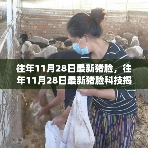 往年11月28日最新豬臉科技揭秘，智能識(shí)別引領(lǐng)養(yǎng)殖業(yè)革新