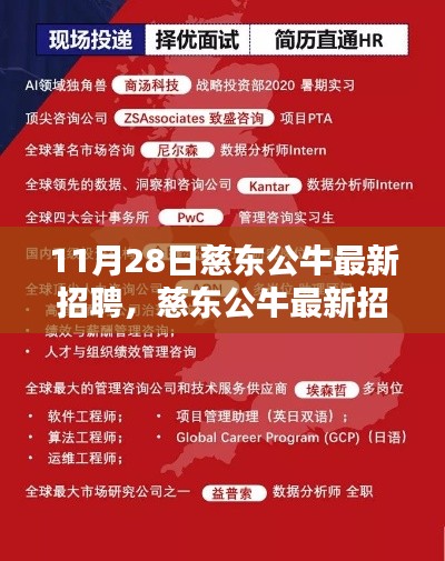 慈東公牛最新招聘面試與應(yīng)聘全攻略（初學者與進階用戶必看）