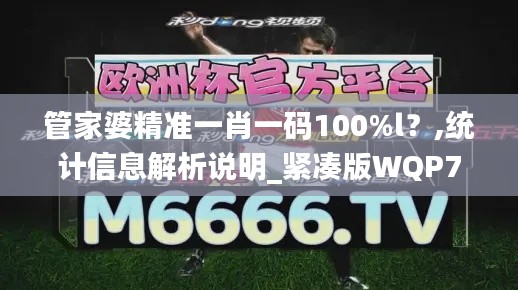 管家婆精準(zhǔn)一肖一碼100%l？,統(tǒng)計信息解析說明_緊湊版WQP7.315