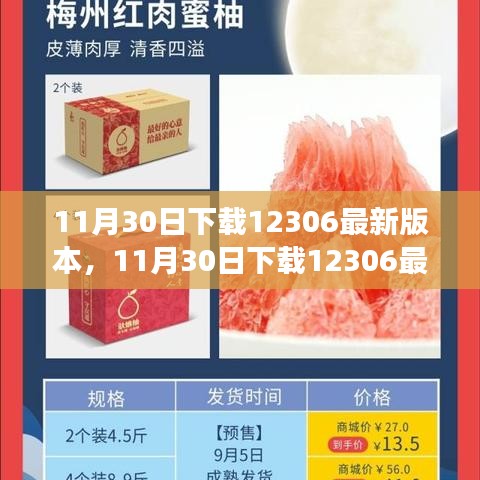 11月30日下載最新12306版本，升級體驗與實用功能詳解