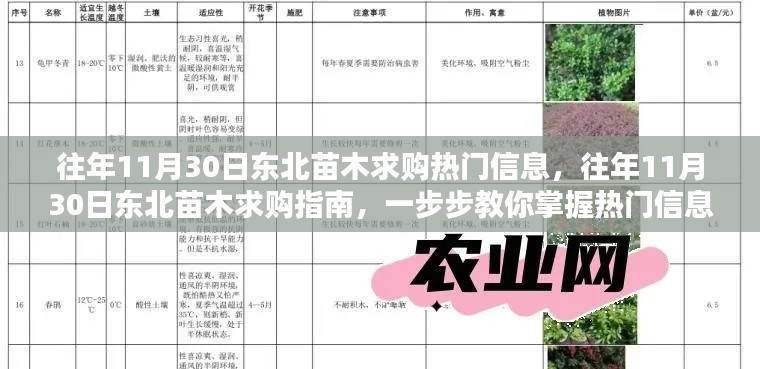 掌握技巧，揭秘往年11月30日東北苗木求購(gòu)熱門信息及指南