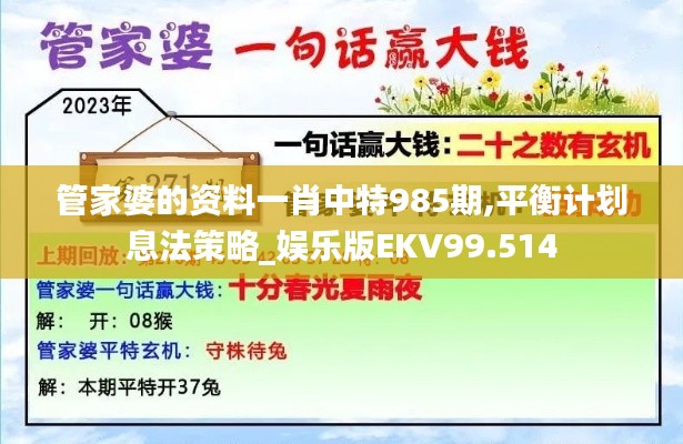 管家婆的資料一肖中特985期,平衡計(jì)劃息法策略_娛樂(lè)版EKV99.514