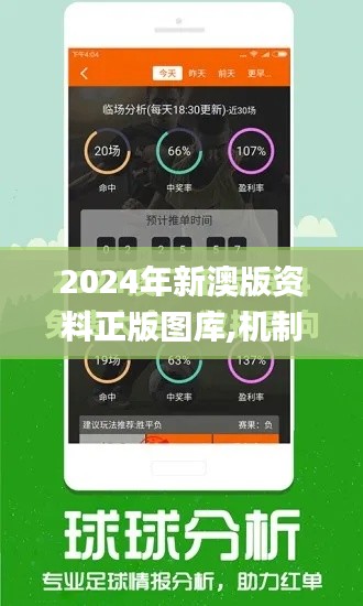 2024年新澳版資料正版圖庫,機(jī)制評估方案_明星版EQR5.600