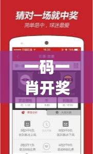 一碼一肖開獎(jiǎng)結(jié)果,實(shí)踐調(diào)查說明_VR版VCI73.438