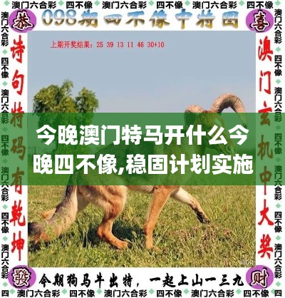 今晚澳門特馬開什么今晚四不像,穩(wěn)固計劃實(shí)施_原創(chuàng)版FEJ77.222
