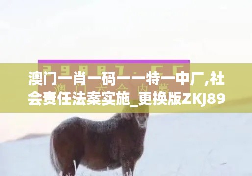 澳門一肖一碼一一特一中廠,社會責(zé)任法案實施_更換版ZKJ89.486