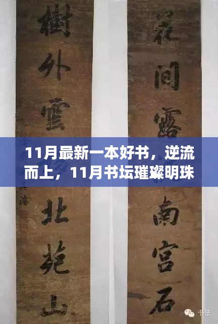 逆流而上，11月書壇璀璨明珠——最新好書〈XXXX〉解讀