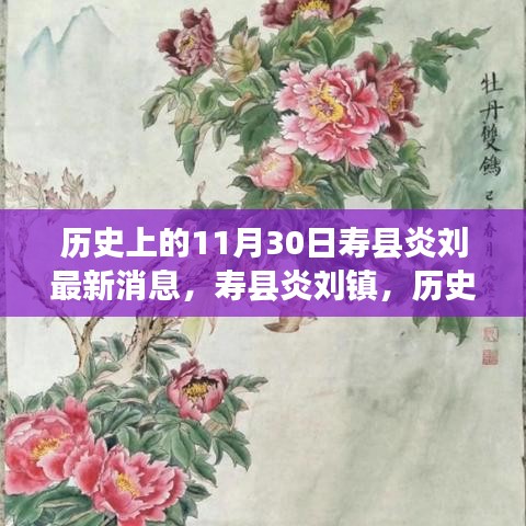 歷史上的壽縣炎劉鎮(zhèn)，最新發(fā)展篇章揭秘（最新消息）