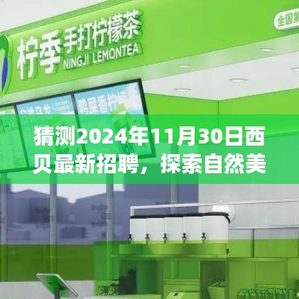西貝招聘啟程，探索自然美景之旅，尋找內(nèi)心的寧靜與平和新崗位揭曉（2024年最新招聘）