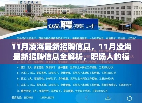 11月凌海最新招聘信息全解析，職場人的福音重磅來襲