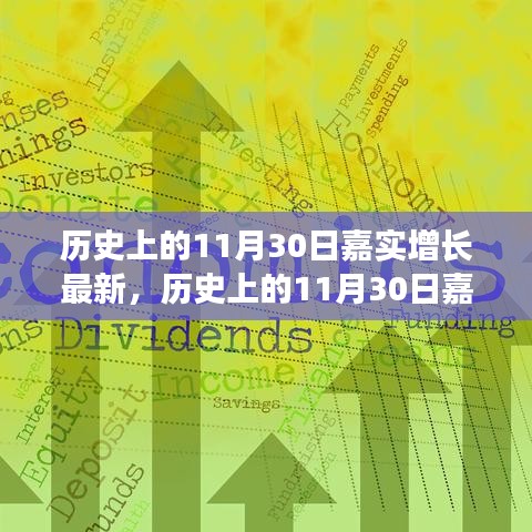 深度解析，嘉實(shí)增長(zhǎng)在歷史上的11月30日最新動(dòng)態(tài)與觀點(diǎn)闡述
