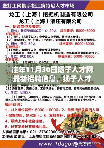 揚(yáng)子人才網(wǎng)最新招聘信息及求職指南，順利求職的完全步驟概覽