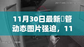 11月30日最新熱門動態(tài)圖片，潮流風尚的引領(lǐng)者