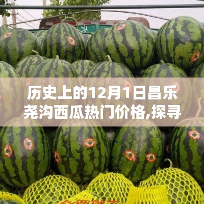 昌樂堯溝西瓜12月1日價格走勢分析，歷史熱門價格指南