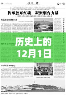 歷史上的12月1日廉江阿貴網(wǎng)熱門新聞，挖掘與了解步驟指南