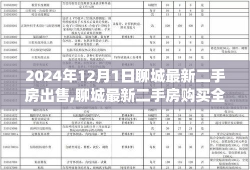 初學(xué)者全攻略，聊城最新二手房購(gòu)買(mǎi)指南，從入門(mén)到成交的詳細(xì)步驟（2024年）