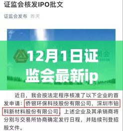 證監(jiān)會(huì)最新IPO名單揭曉，12月新紀(jì)元下的資本市場(chǎng)動(dòng)態(tài)