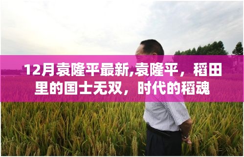 袁隆平，稻田里的國士無雙，時代稻魂的新篇章（12月最新動態(tài)）
