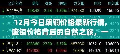 十二月廢銅價格最新動態(tài)，探尋背后的自然之旅與內(nèi)心平靜之旅