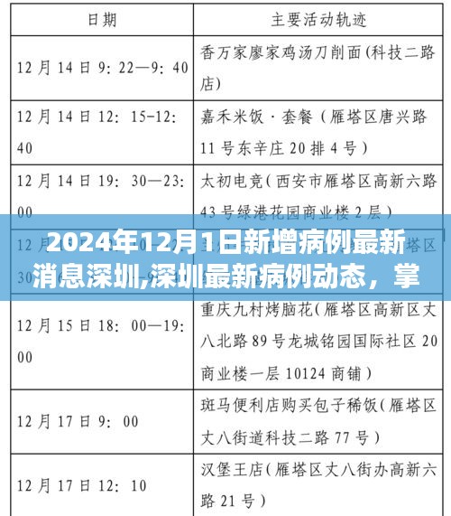 2024年深圳最新病例動(dòng)態(tài)及應(yīng)對(duì)策略，掌握新增病例查詢方法與應(yīng)對(duì)技巧