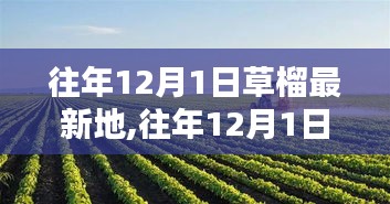 往年12月1日探訪草榴最新地，生態(tài)、科研與應(yīng)用價(jià)值深度探討