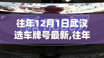 武漢選車牌號(hào)最新動(dòng)態(tài)解讀，選號(hào)策略與趨勢分析（往年12月1日更新）