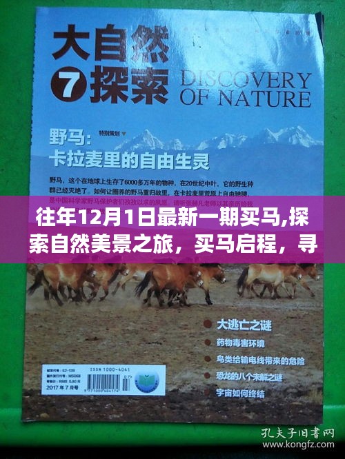 買馬啟程，探索自然美景之旅，尋找內(nèi)心的寧靜與平和