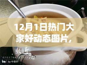 揭秘十二月一日熱門動(dòng)態(tài)圖片，小巷深處的動(dòng)感樂(lè)園背后的故事