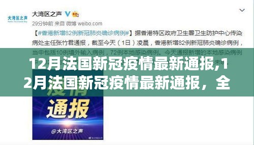 法國新冠疫情最新通報(bào)，當(dāng)前形勢解析及應(yīng)對策略探討