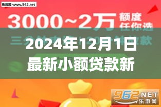 初學(xué)者與進(jìn)階用戶必備，2024年小額貸款新口子詳解及申請(qǐng)流程指南