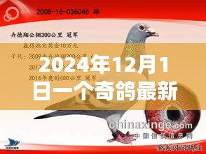 奇鴿最新版，2024年科技飛躍與深遠影響的里程碑