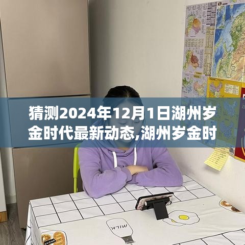 湖州歲金時代最新動態(tài)解析，特性、用戶體驗與目標(biāo)用戶群體分析展望至2024年12月1日深度評測報告