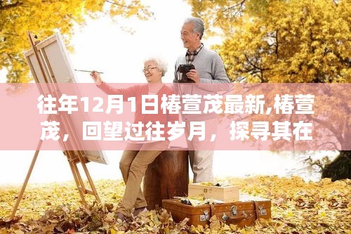 椿萱茂回望歲月，特定領(lǐng)域的獨(dú)特地位與深遠(yuǎn)影響