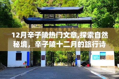 辛子陵十二月旅行詩篇，探索自然秘境，啟程尋找內心的桃花源