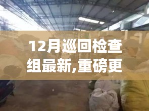 揭秘十二月巡回檢查組最新動態(tài)與深度洞察，重磅更新揭秘背后細節(jié)