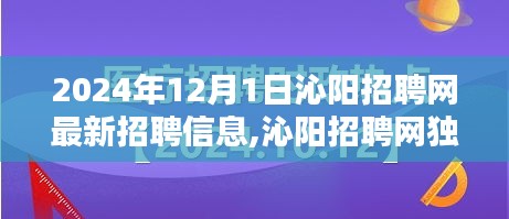 沁陽招聘網(wǎng)獨家爆料，2024年最新招聘信息全解析，理想工作等你來尋！