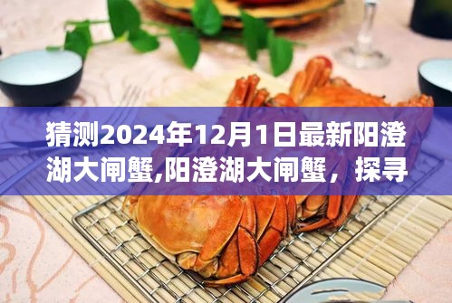 陽澄湖大閘蟹的未來預(yù)測與歷史印記，探尋陽澄湖大閘蟹在2024年的新動態(tài)與趨勢展望