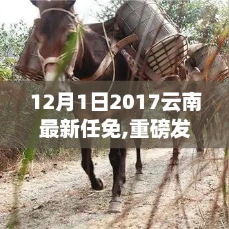 重磅發(fā)布，云南科技新品閃耀登場(chǎng)，智能革新體驗(yàn)引領(lǐng)科技魅力