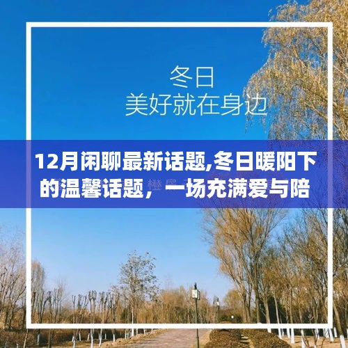 冬日暖陽下的溫馨閑聊，十二月愛與陪伴的交織
