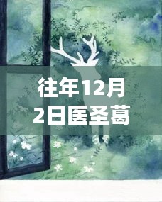 探秘醫(yī)圣葛東旭與小巷美食寶藏，特色小店的奇妙之旅