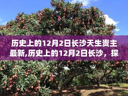 探尋長(zhǎng)沙天生貴主的深層意義與現(xiàn)代影響，歷史上的12月2日長(zhǎng)沙最新探尋紀(jì)實(shí)