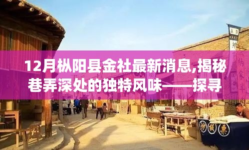 揭秘樅陽(yáng)縣金社鎮(zhèn)巷弄深處的獨(dú)特風(fēng)味，神秘小店最新探秘之旅
