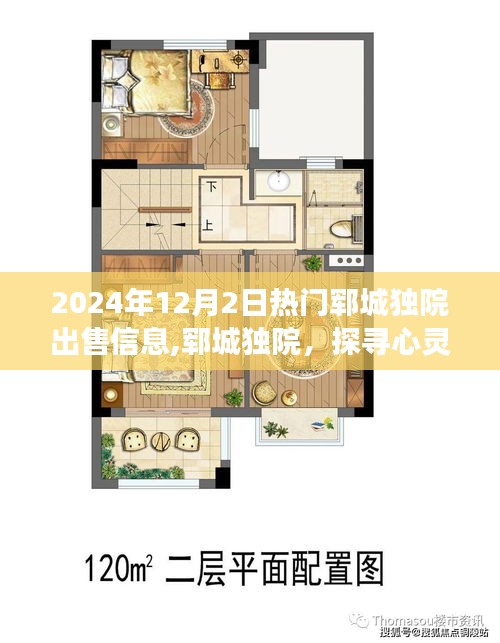 探尋心靈靜謐之旅，鄆城獨(dú)院熱門出售信息——2024年12月最新房源