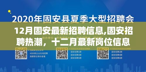 固安最新招聘熱潮，十二月崗位信息解析與洞察