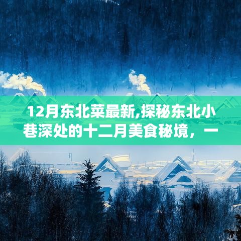 探秘東北小巷深處的十二月美食秘境，一家獨(dú)特魅力的東北菜小店新菜品展示