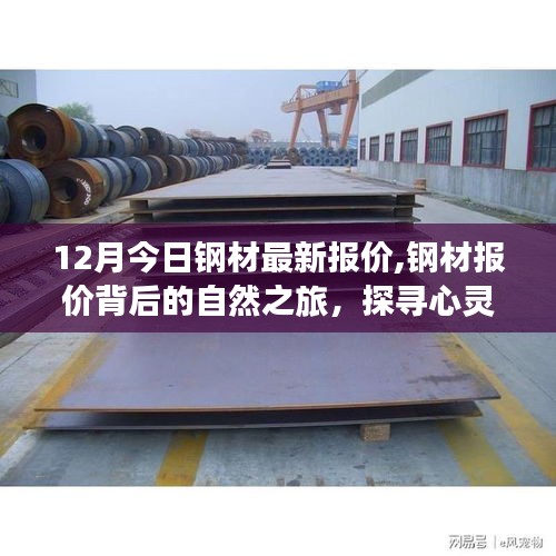 探尋心靈的寧靜與自然的饋贈，揭秘鋼材報價背后的自然之旅，最新鋼材報價一覽（今日十二月）