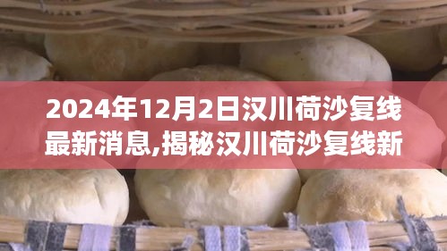 揭秘漢川荷沙復線新動態(tài)，美食寶藏藏于小巷特色小店中的新發(fā)現（最新消息）