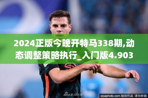2024正版今晚開(kāi)特馬338期,動(dòng)態(tài)調(diào)整策略執(zhí)行_入門版4.903-5