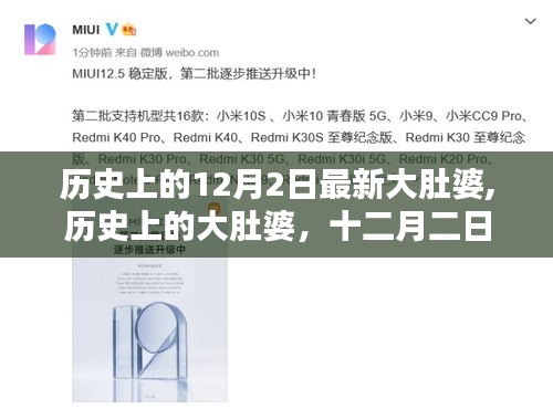 歷史上的大肚婆，回望與反思的十二月二日故事